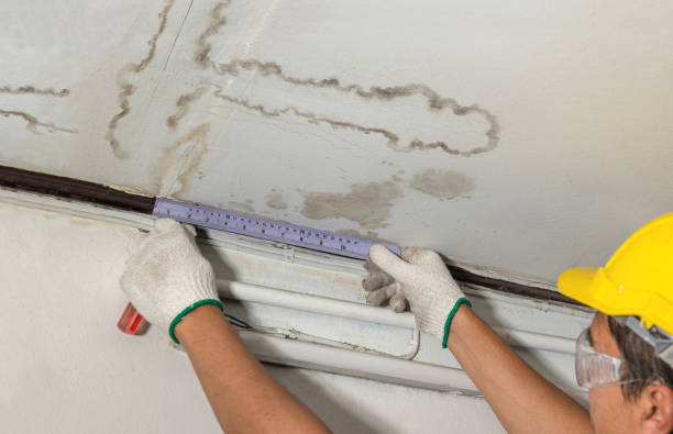 Reliable Basement Water Removal contractor in Palos Verdes Peninsula, CA by Water Damage Irwin